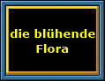 blühende Flora