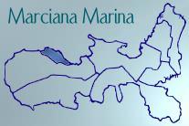 kommune-marciana marina